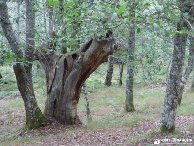 Bierzo lugar de Naturaleza;ruta gredos escapada agosto senderismo en huesca senderismo avila